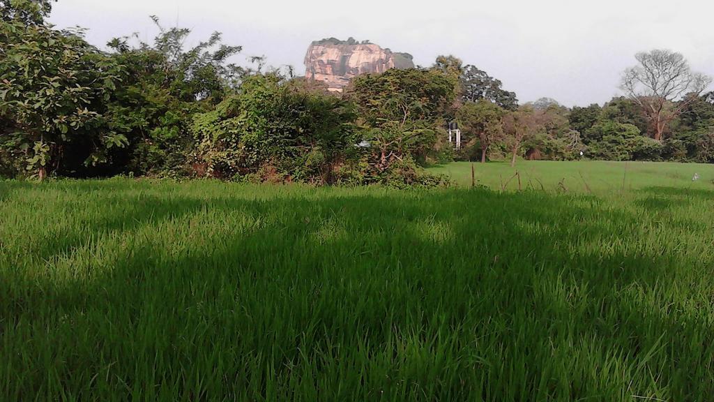 Sigiriya Vee Guest Appartement Buitenkant foto